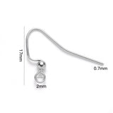 10 Pcs, 17x22mm, 304 Stainless Steel Earring Hooks