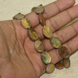 19x13mm Oval Shell Beads 1 String