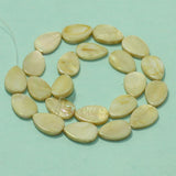 19x13mm Drop Shell Beads 1 String