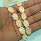 19x13mm Drop Shell Beads 1 String