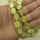 19x13mm Oval Shell Beads 1 String