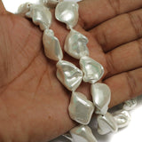 1 String, 22mm Shell Pearl Beads