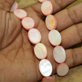 19x13mm Oval Shell Beads 1 String