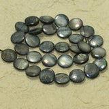 12mm Disc Shell Beads 1 String